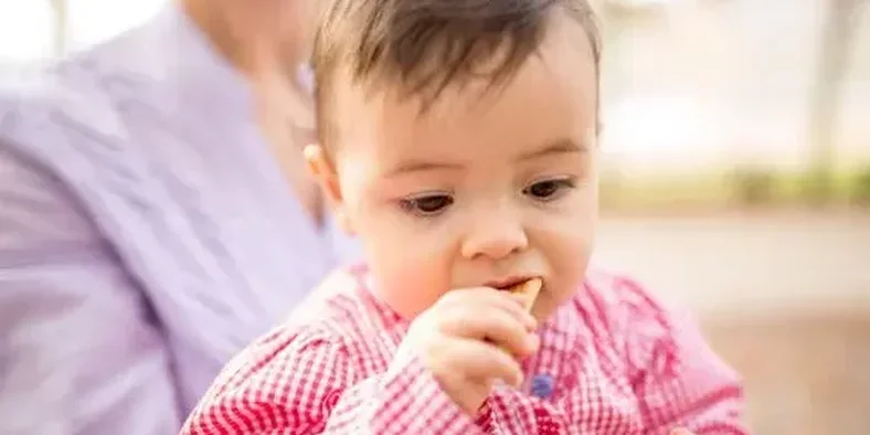 Bayi makan biskuit 
