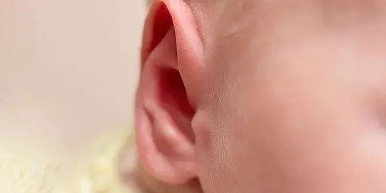 telinga bayi