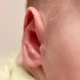 telinga bayi