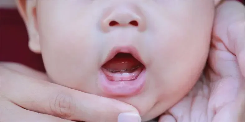 Gigi bayi tumbuh