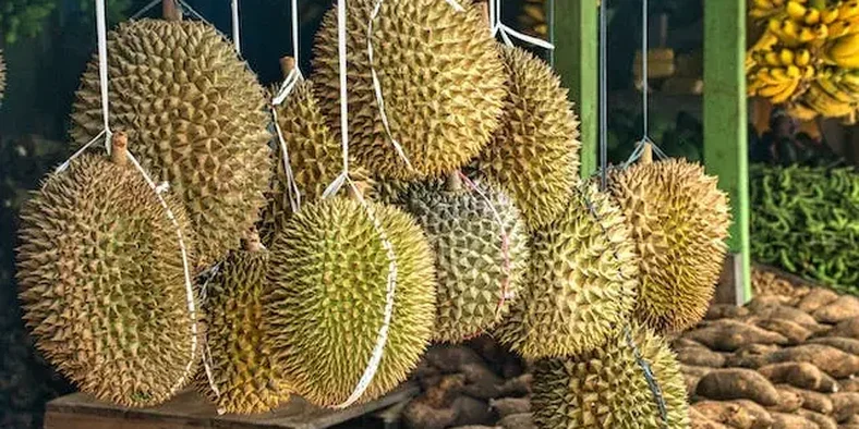 Makan Durian Saat Hamil Apakah Aman? Yuk, Cek Faktanya!