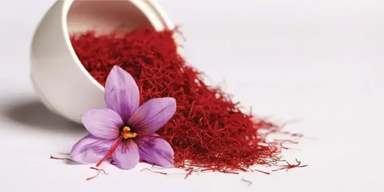Bunga Saffron, Rempah Termahal di Dunia yang Baik untuk Perkembangan Janin
